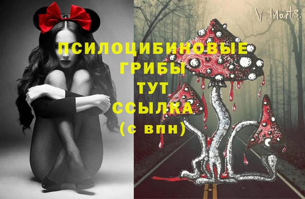 таблы Алексеевка