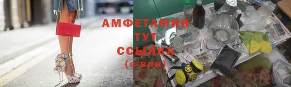 шишки Абинск