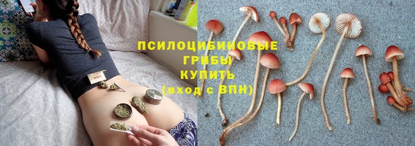apvp Семёнов