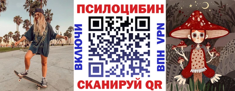 закладка  Каменка  Псилоцибиновые грибы мухоморы 