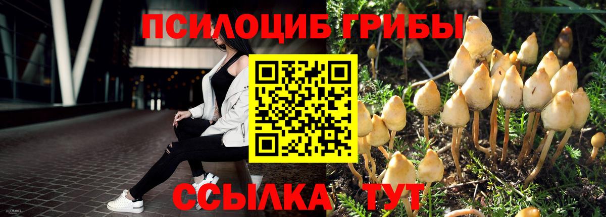 Псилоцибиновые грибы прущие грибы  Галлюциногенные грибы GOLDEN TEACHER  Вход с VPN  закладка  Каменка 