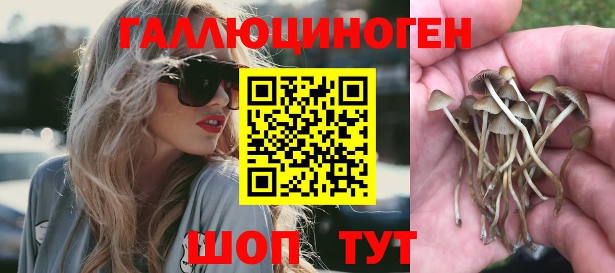 Псилоцибиновые грибы мухоморы Каменка