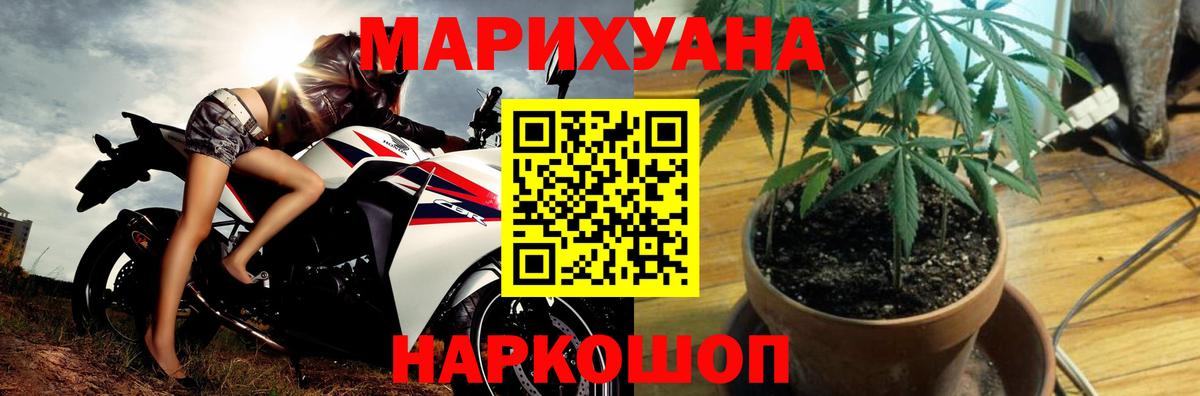 Бошки Шишки семена Каменка